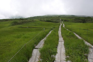 阿弥ヶ原湿原